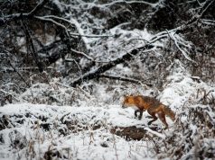 Balıkçılığın Vazgeçilmez Adresi: Av Marketler, Olta Makineleri ve Olta İğnesi Seçimi avsepeti1